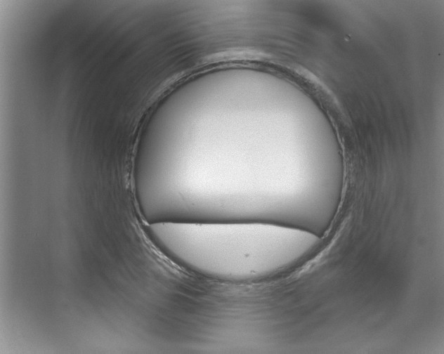 X0000075880929200609151003