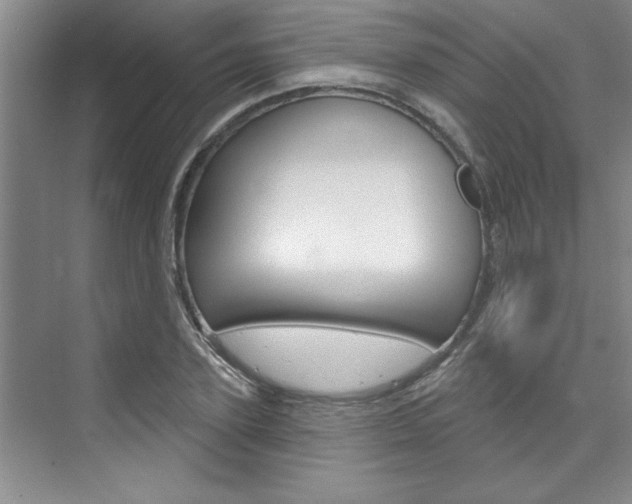 X0000075880931200609151003