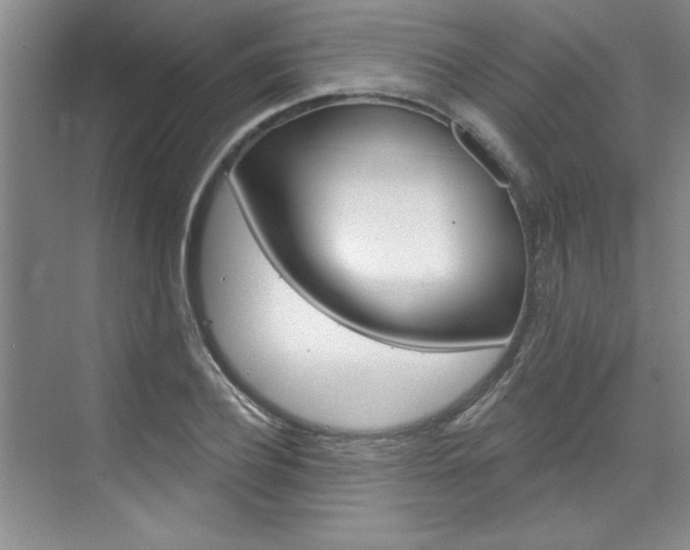 X0000075880932200609151003