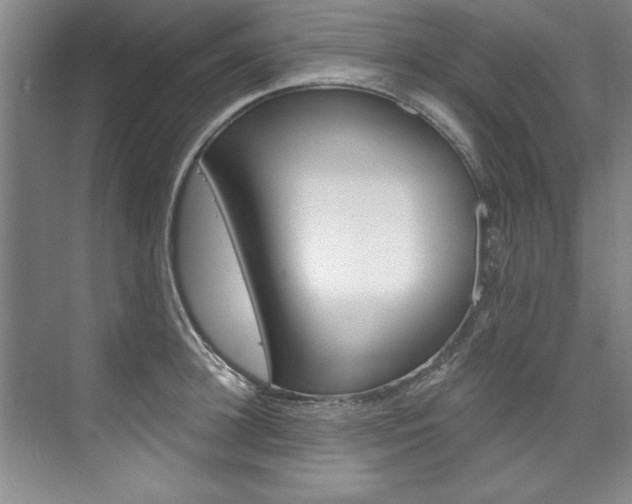 X0000075880948200609151004