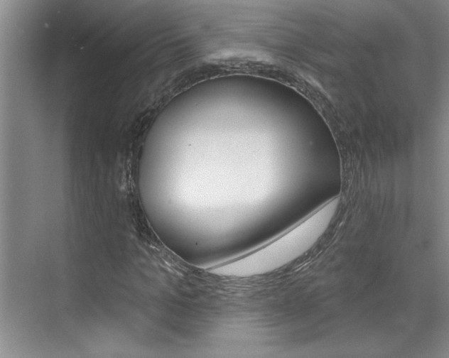 X0000075880965200609151003
