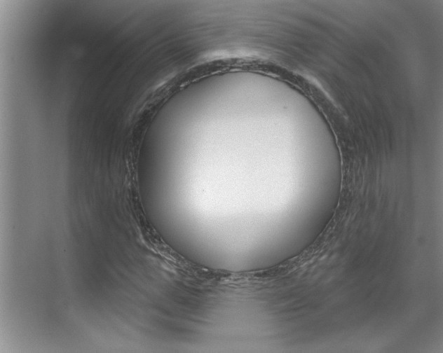 X0000075880967200609151003