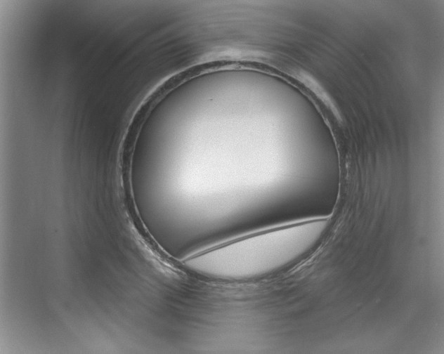 X0000075880972200609151003