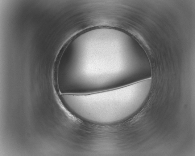 X0000075880991200609151003