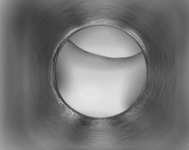 X0000075881000200609151002