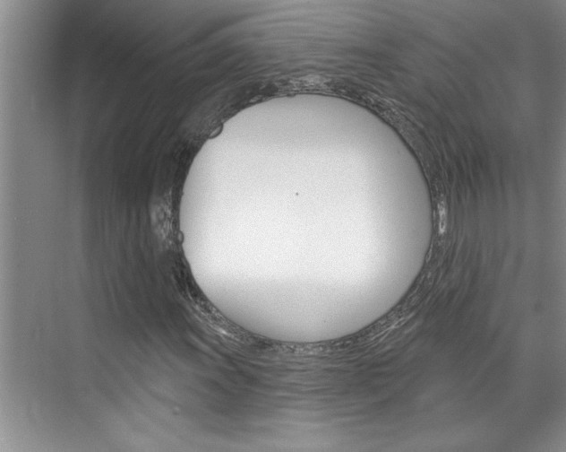 X0000075881011200609151001