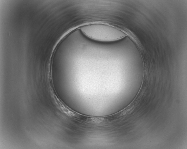 X0000075881052200609151002