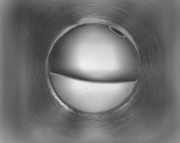 X0000075881053200609151002