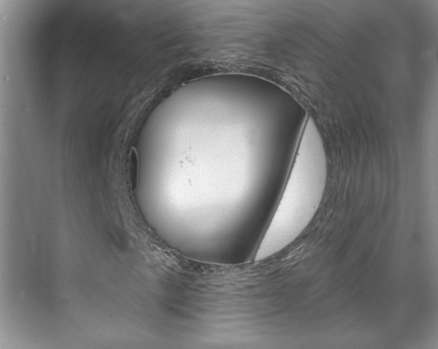 X0000075881057200609151001