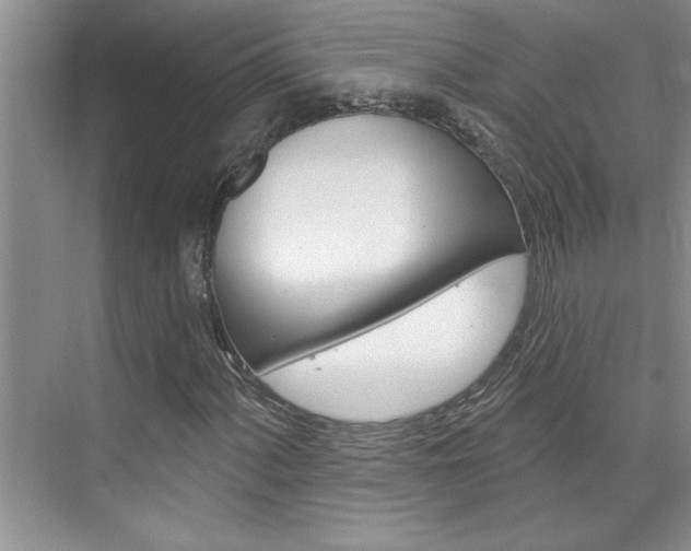 X0000075881060200609151001