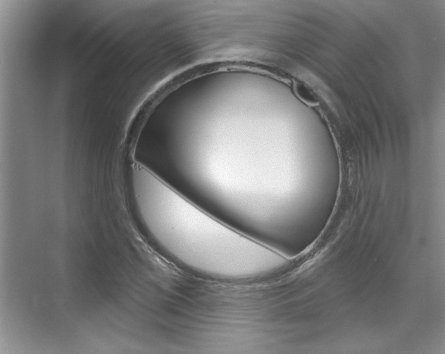 X0000075881069200609151001