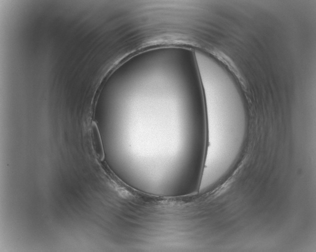 X0000075881081200609151001