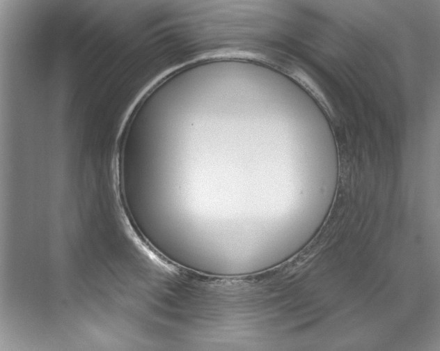 X0000075881092200609151001