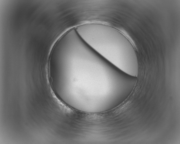 X0000075881100200609151001