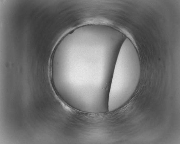 X0000075881103200609151001