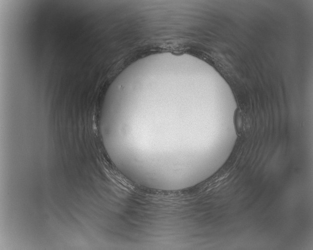 X0000075881106200609151000