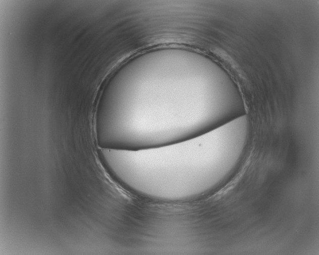 X0000075881121200609151000