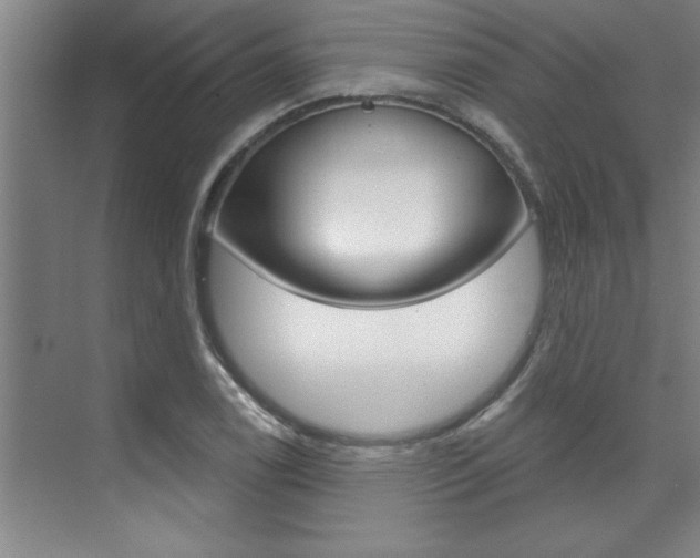 X0000075881122200609151000