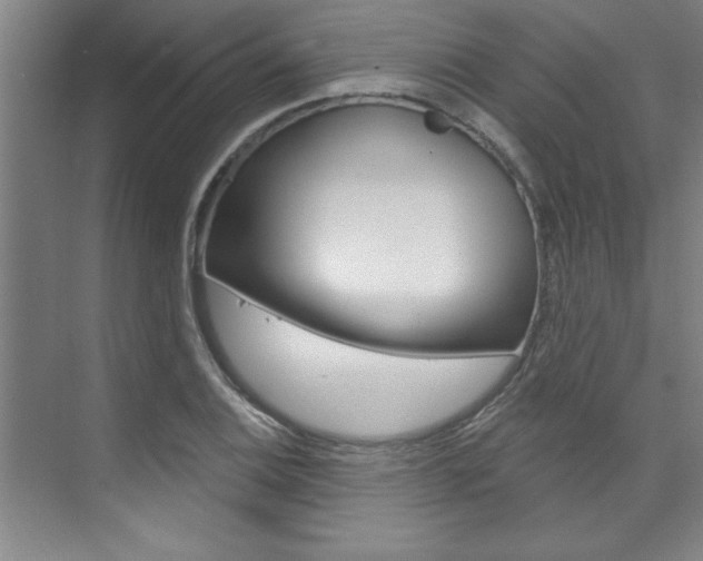 X0000075881124200609151000