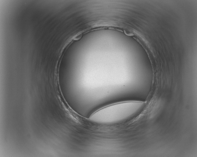 X0000075881129200609151000