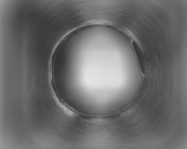 X0000075881132200609151000