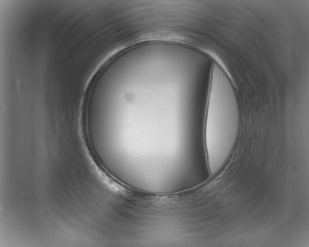 X0000075881139200609151000