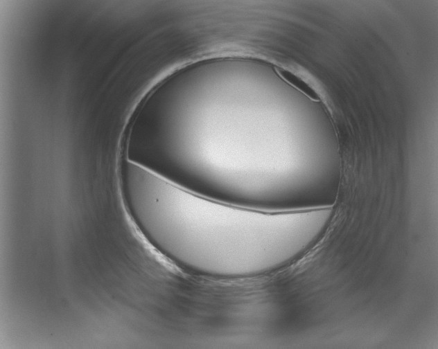 X0000075881142200609151000