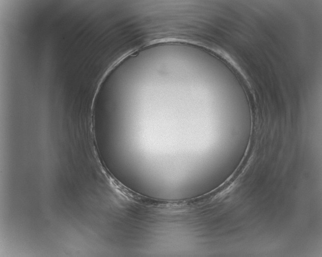 X0000075881145200609151001