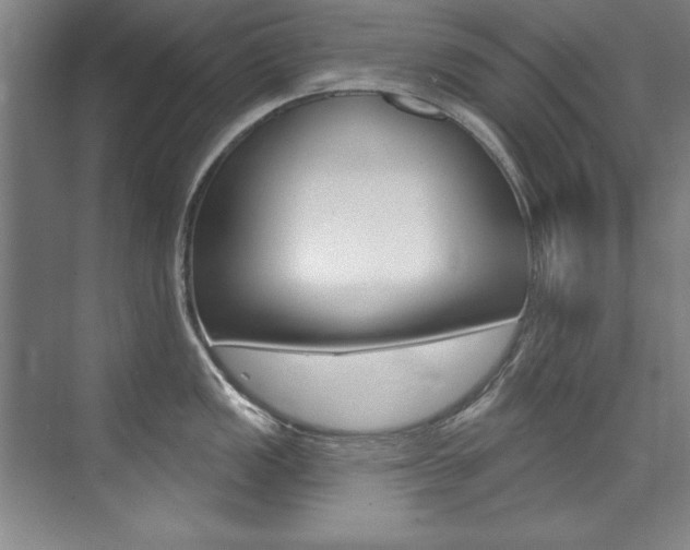 X0000075881149200609151001