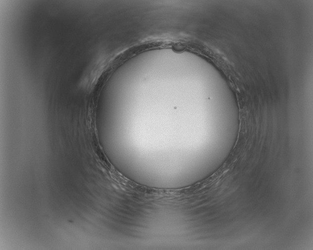 X0000075881158200609151000