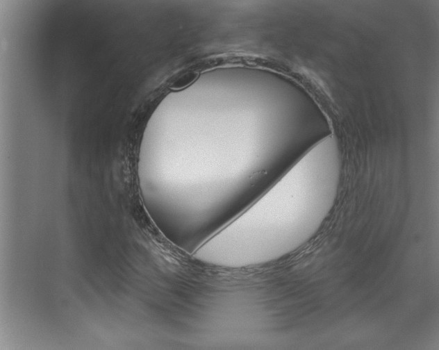 X0000075881159200609151000