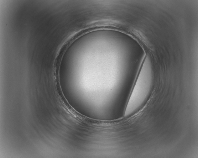 X0000075881164200609151000