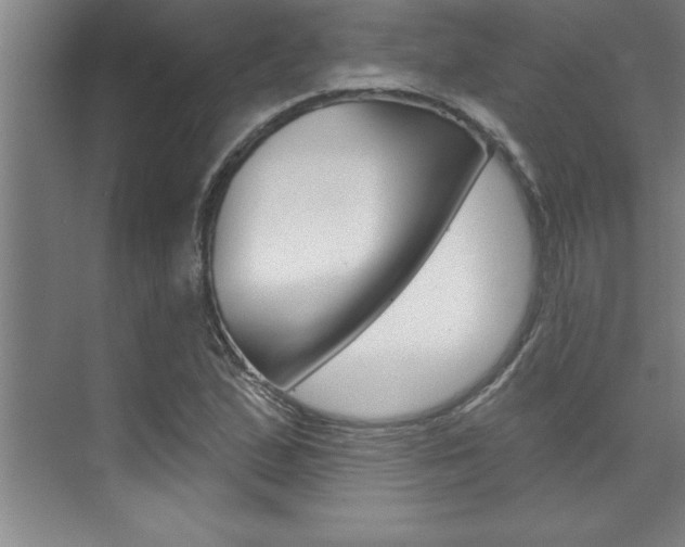 X0000075881167200609151000