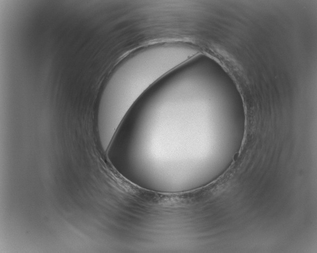 X0000075881169200609151000