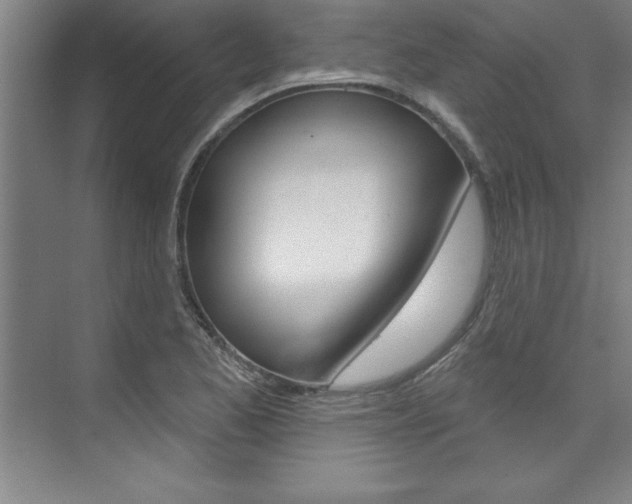 X0000075881173200609151000