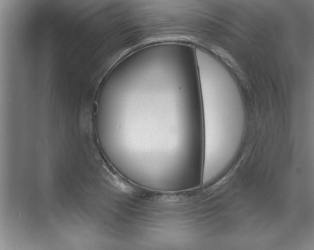 X0000075881177200609150959