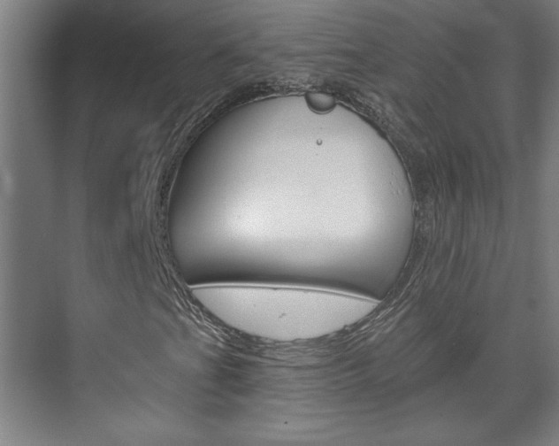 X0000075881201200609150958