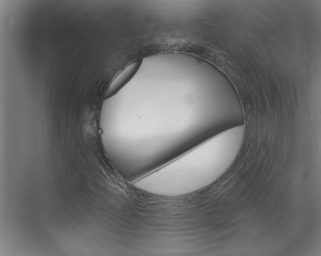 X0000075881204200609150958