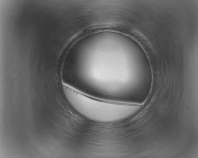 X0000075881210200609150958