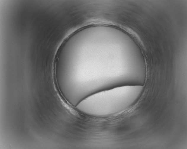 X0000075881231200609150959