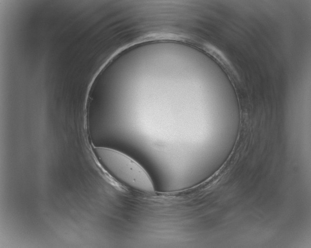 X0000075881236200609150959