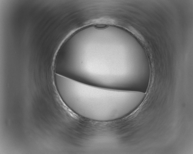 X0000075881248200609150959