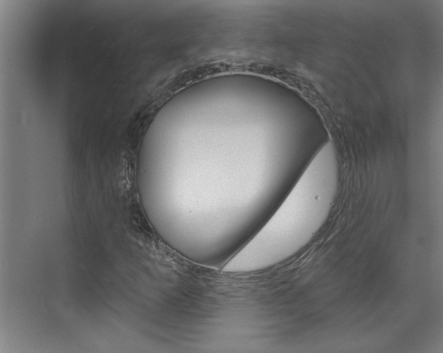 X0000075881253200609150958
