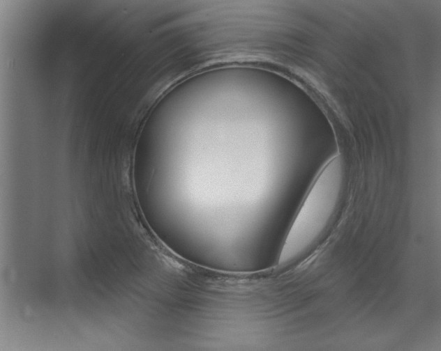 X0000075881273200609150958