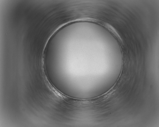 X0000075881292200609150957