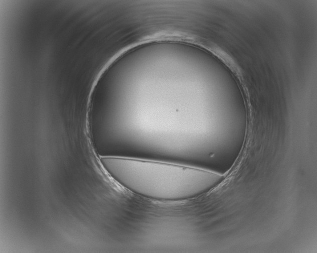X0000075881296200609150957