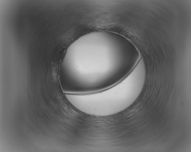 X0000075881300200609150957
