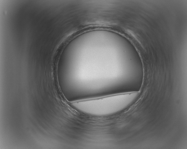 X0000075881307200609150957