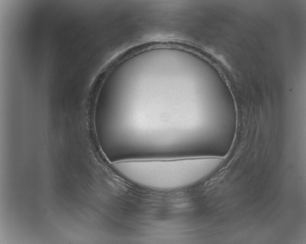 X0000075881311200609150957
