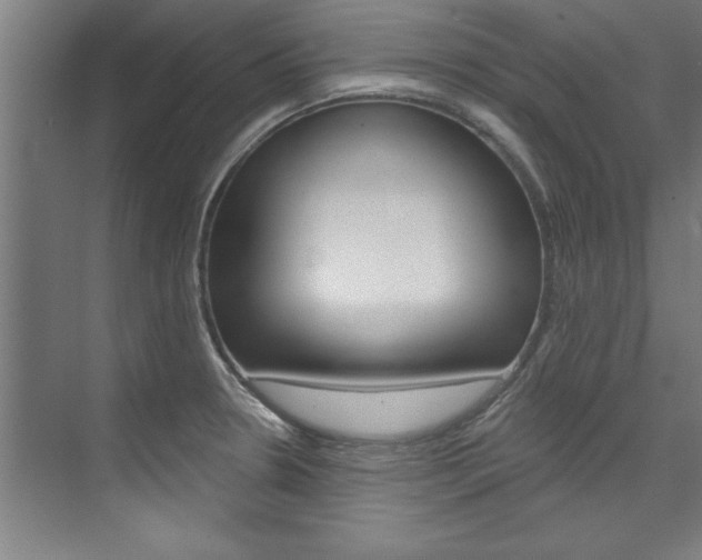 X0000075881330200609150957